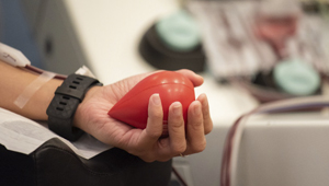 Five Blood Donation Myths Debunked