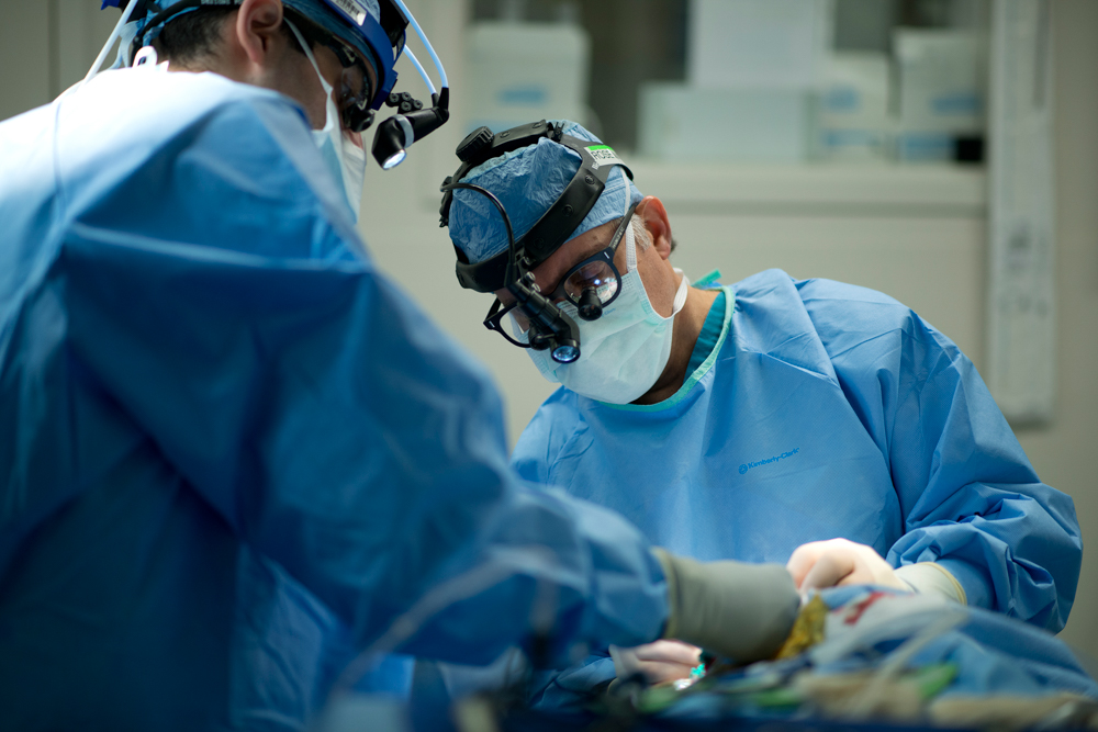 Head & Neck Surgery Jefferson Health