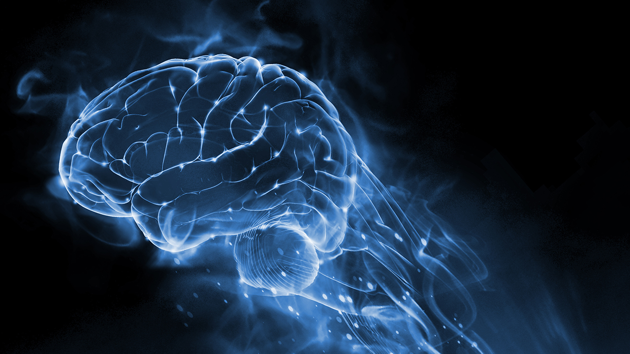 Optimal Brain Health | Jefferson Health