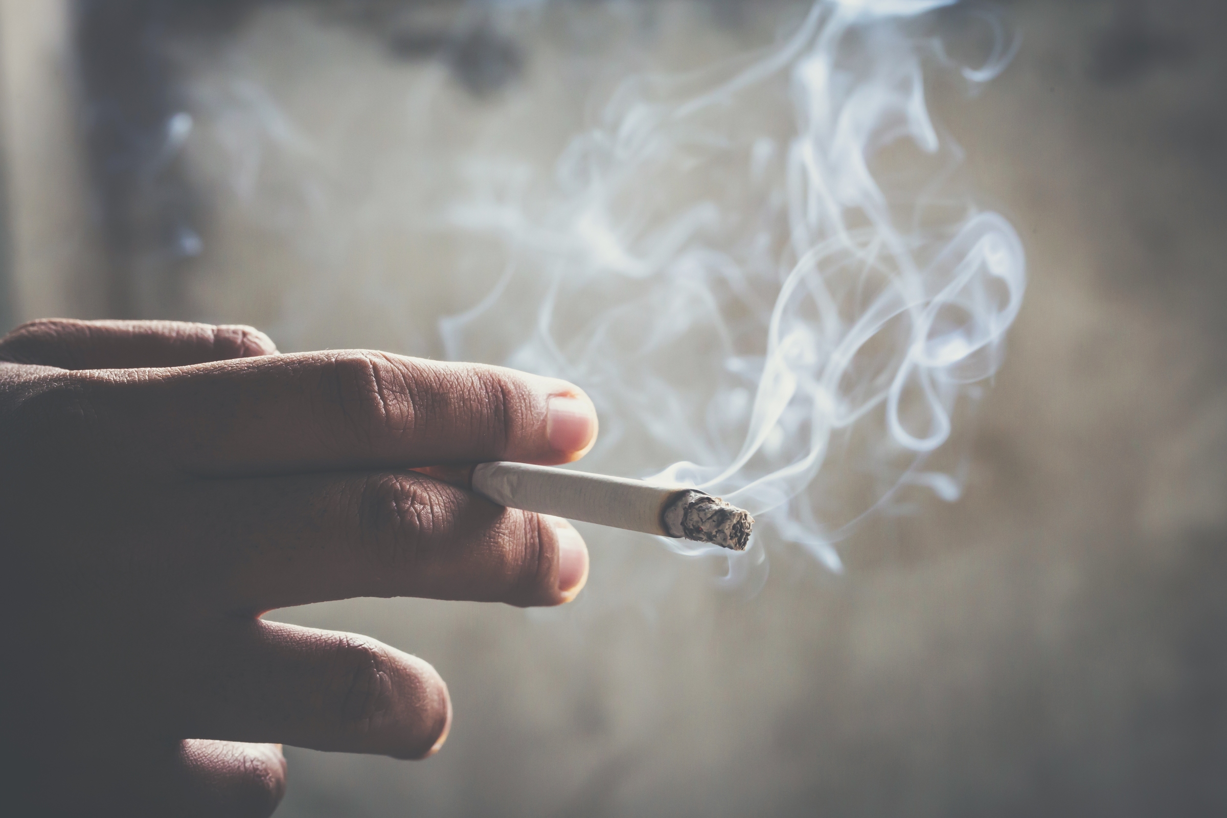 a cigarette a day keeps the doctor away โจ Color Us Bravo โจ | Smoking jay a day keeps the doctor AND the crazy away! ๐ฎโ๐จ๐๐จ @gg_golnesa S/O to GG Joon, my stoner soul sister โค๏ธ #thevalley - - - - - - a cigarette a day keeps the doctor away โจ Color Us Bravo โจ | Smoking jay a day keeps the doctor AND the crazy away! ๐ฎโ๐จ๐๐จ @gg_golnesa S/O to GG Joon, my stoner soul sister โค๏ธ #thevalley - - - - - -