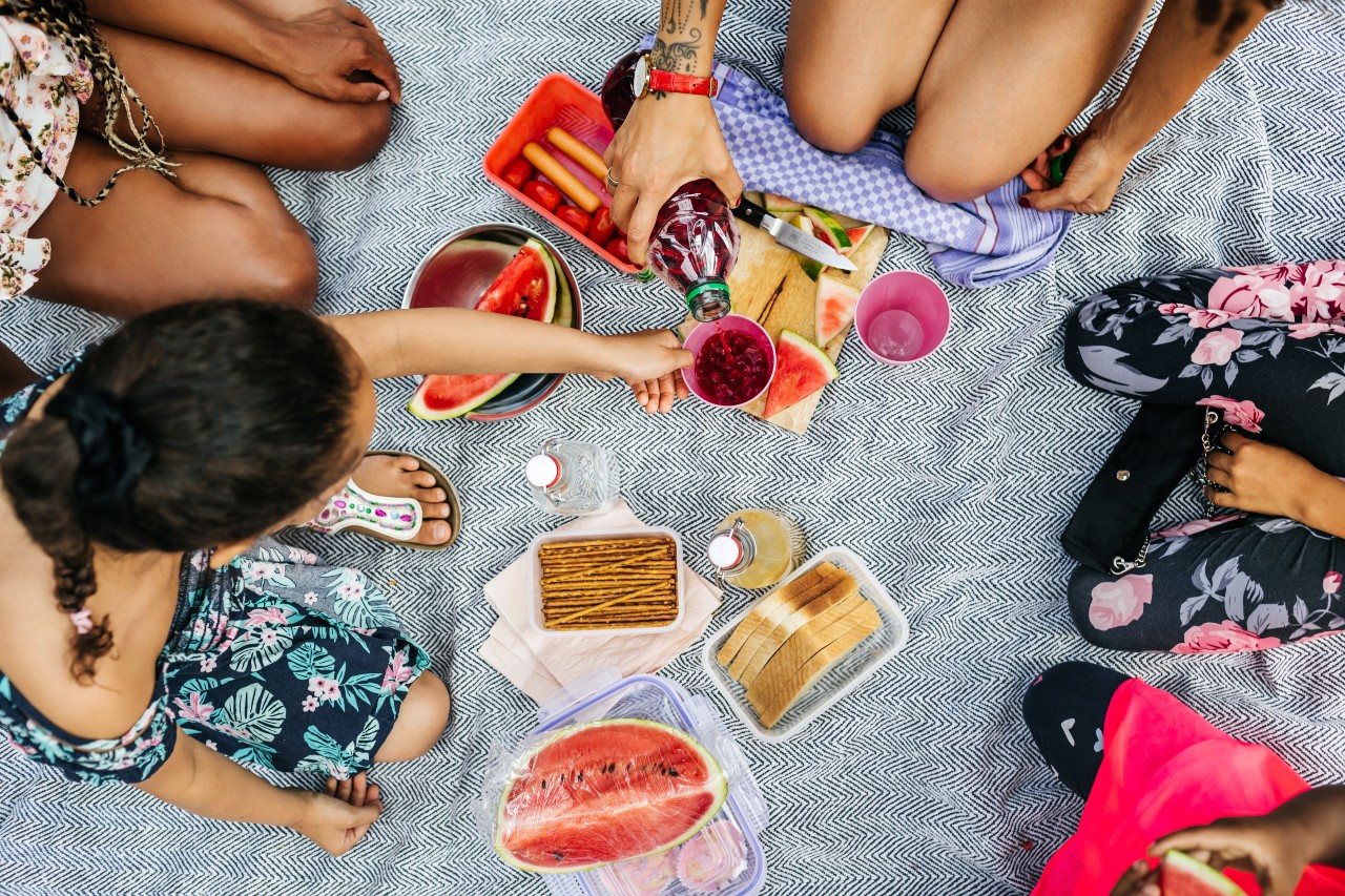 family picnic with fresh snacks and drinks